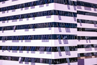 安博体育登录入口-体育新闻中心推进体育智库体系建设，体育专题报道